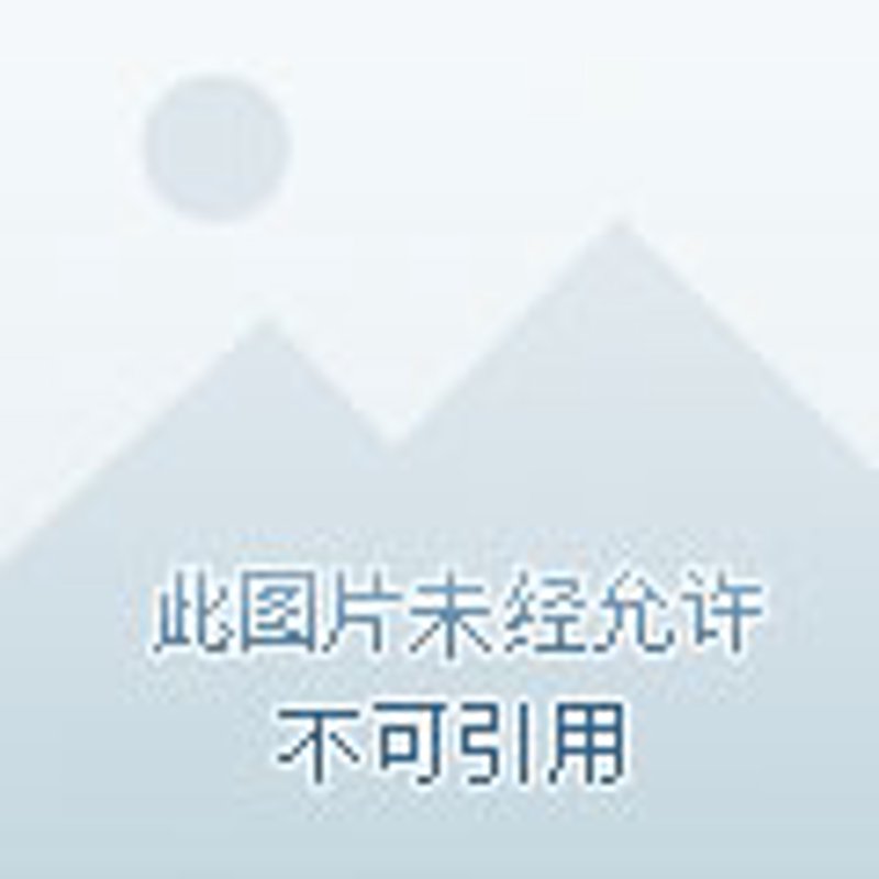 郑州房产营销策略解析:工具推荐与实战攻略